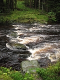 Stepping Stones on the River Fiddich